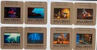 Fantasia 2000 Movie Press Kit Color Photo Slides  Lot Of 18  Mickey Mouse Disney