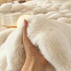 Winter Warm Blankets For Beds Soft Plush Blanket Sofa Cover Fluffy Throw Blanket
