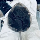 11 11lb Natural Dragon Septarian Geode Quartz Cluster Crystal Egg Healing 5050g