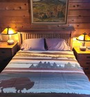 Pendleton National Park Buffalo Wilderness Beaver State Wool Blanket 64 X 80 Nwt