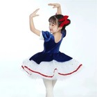 Bluecolor Classic Professional Ballet Tutu Red Swan Lake Pancake Tutu Ballerina