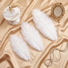 90 Pcs Large Natural Ostrich Feathers Bulk 14-16 Inch 35-40cm 12-14 Inch 30-3   