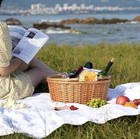 Wicker Picnic Basket With Double Folding Handles Natural Large Willow 16x14x7