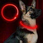 Rechargeable Led Light-up Flash Glow Collar Dog Pet Safety Micro Usb Adjustable