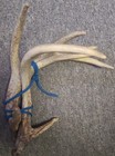 Primos Rattling Fightin  Horns Antler Buck Deer Hunting Rattle Call Synthetic