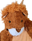 Child Lion Fur Costume Size 2t 3t