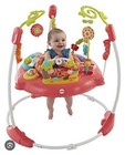 Fisher-price Baby Bouncer Pink Flowers Jumparoo Musical Activity Center 
