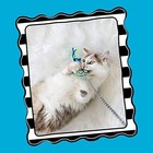 Fatcat Tadpole Cat Wand Stuffed With 100  Organic Catnip One Size  Multicolor 