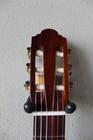 Brand New Marlon  francisco  Navarro Flamenco Blanca Guitar - Cedar Top