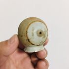 Very Rare Antique Chinese Pottery Porcelain Opi m Bowl Damper