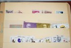 Argentina Collection Of 825  Stamps Mint   Used Stored In Binder On Stock Pages