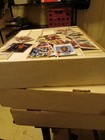 Random Sports Cards Bulk Lot 500 Cards  Unsearched Baseball Basketball Football 