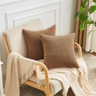 Decorative Square Throw Pillow Covers 22x22 Inch Set Of 2  Super Soft Chenill   