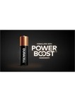 Duracell Coppertop Alkaline Batteries With Duralock Power Preserve Technology Aa