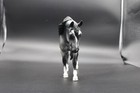 Dos Brios Resin Model Horse Traditional Size