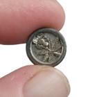 Antique Victorian Edwardian Dandelion Buttercup Pewter Flower Picture Button