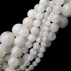 White Rainbow Moonstone Smooth Round Beads 4mm 5mm 6mm 8mm 10mm 12mm 15 5  Strnd