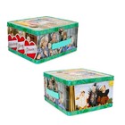 The Golden Girls Cast Retro Metal Tin Lunch Box Tote   Toynk Exclusive