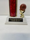 Basketball Trophy Award 15  Tall M Or F Free Engraving   support The Vet