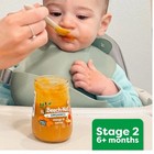 Beech-nut Turkey   Chicken   Veggies Stage 2 Baby Food Meat Pouch  3 5oz  18 Ct