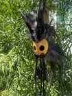 1  Premium Kamani Nut Ikaika Black Hawaiian Design Warrior Helmet Car Decor