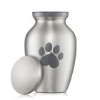 Pet Urn For Dog   Cat Ashes - Brass Cremation Memorial Extra Small Silver Urn