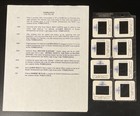 Turbulence 1996 Movie Press Kit  9 Promo Photos   10 Color Slides   Ray Liotta
