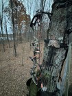 Mathews V3x