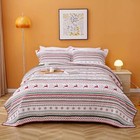 Quilt Bedding Set Queen Size lightweight And Queen   90 x 98     Christmas Striped