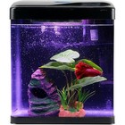 Fish Tank Self Cleaning Glass 2 Gallon Small Nano Aquarium Starter Kit Led Light