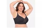 Ruby Ribbon Everyday Demiette  3067 New 