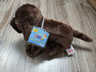 Ganz Webkinz Chocolate Lab Plush Stuffed Animal Toy With Sealed Code Hm138 Nwt