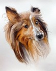 Custom Pet Portrait From Your Photo Original Watercolor Painting Dog  Cat