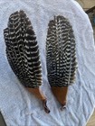 Pair New Turkey Fan Wing Mount Taxidermy Tom Jake Whitetail Deer Log Cabin Decor
