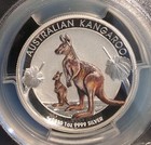 2020 P Australia 1 Oz Silver Proof Kangaroo Colorized H r Coin Pcgs Pr70dcam  