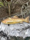 Vintage Marcel Meloche   Ontario   Fish Spearing Decoy  Folk Art Fishing Lure