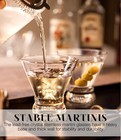 Martini Glasses Set Of 4  Stemless Martini Cocktail Glasses For Margarita  Ma   