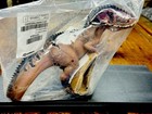 Schleich Mint In Sealed Bag New Curvaceous Giganotosaurus