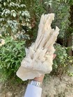 Massive Size Quartz Terminated Crystals Cluster For Collection - 4180 Gram