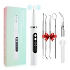 Ultrasonic Electric Tooth Cleaner Tartar Plaque Remover Dental Scaler Tool Kit