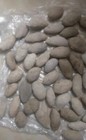 Awaiting Excavation Dinosaur Age 1pc Crab Fossil Surprise Jurassic Crab Fossils