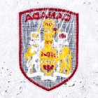 Vintage Canada Patch     Crest Coat Of Arms Travel Souvenir     Sew-on Nos