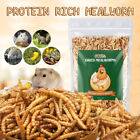 Non-gmo Dried Mealworms Organic For Birds Chickens Fish Reptile Turtle Wholesale