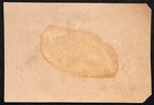Fallass And Curran Druggists Petoskey  Mi Victorian Trade Card