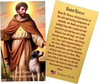St Rocco Medal Necklace Stainless Steel Chain Usa Laminated Dog Saint Holy Card