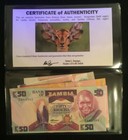 Wildlife Eight Animal Banknotes World Paper Money Unc Currency Bill Notes