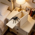 Wooden Prank Box With Fake Spider  Surprise Gag Gift For Adults   Kids