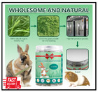 Yixund Timothy Hay Sticks Treats For Rabbits 40pcs Bunny Chew Toys Guinea Pig To