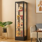 Lockable Steel Display Cabinet With Rgb Light Glass 4-layer Bookshelf Adjustable