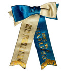 C1900s Pilot Social Club A a  Of M    P  District 6 3 5 h Pinback Ribbon